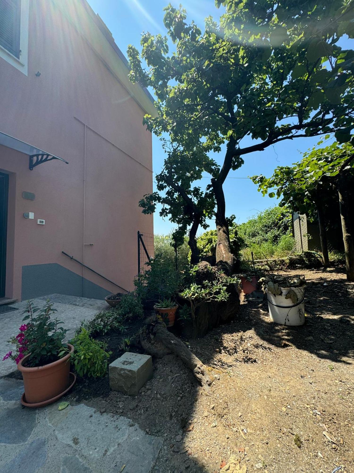 Apartamento Ca' Dii Buersa - Homy 5 Terre Volastra Exterior foto